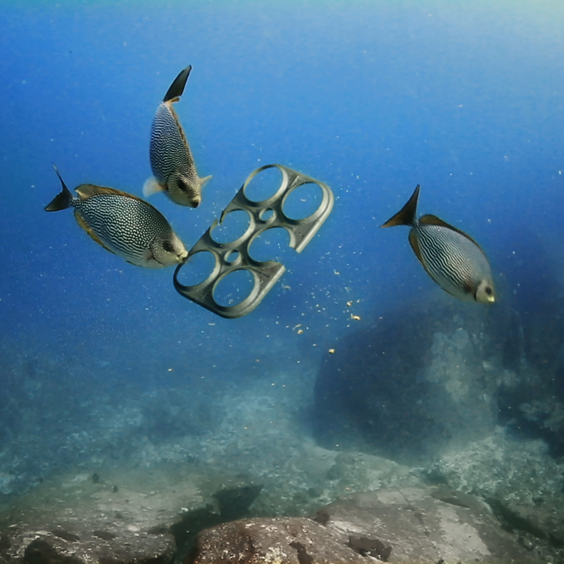 环保设计新篇章 | 10 个可持续替代品引领未来趋势-21