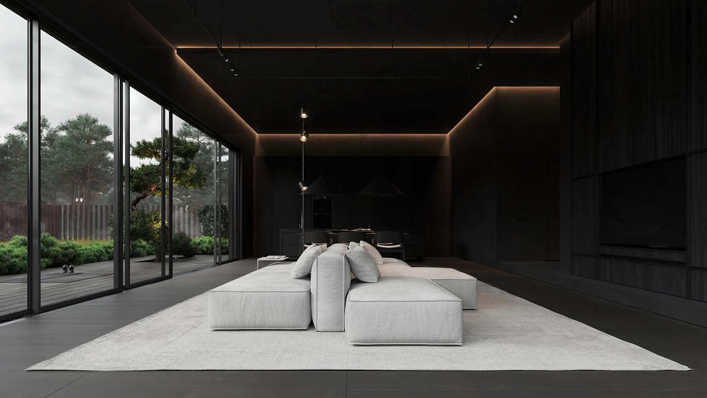 高级黑 极简别墅设计！-2