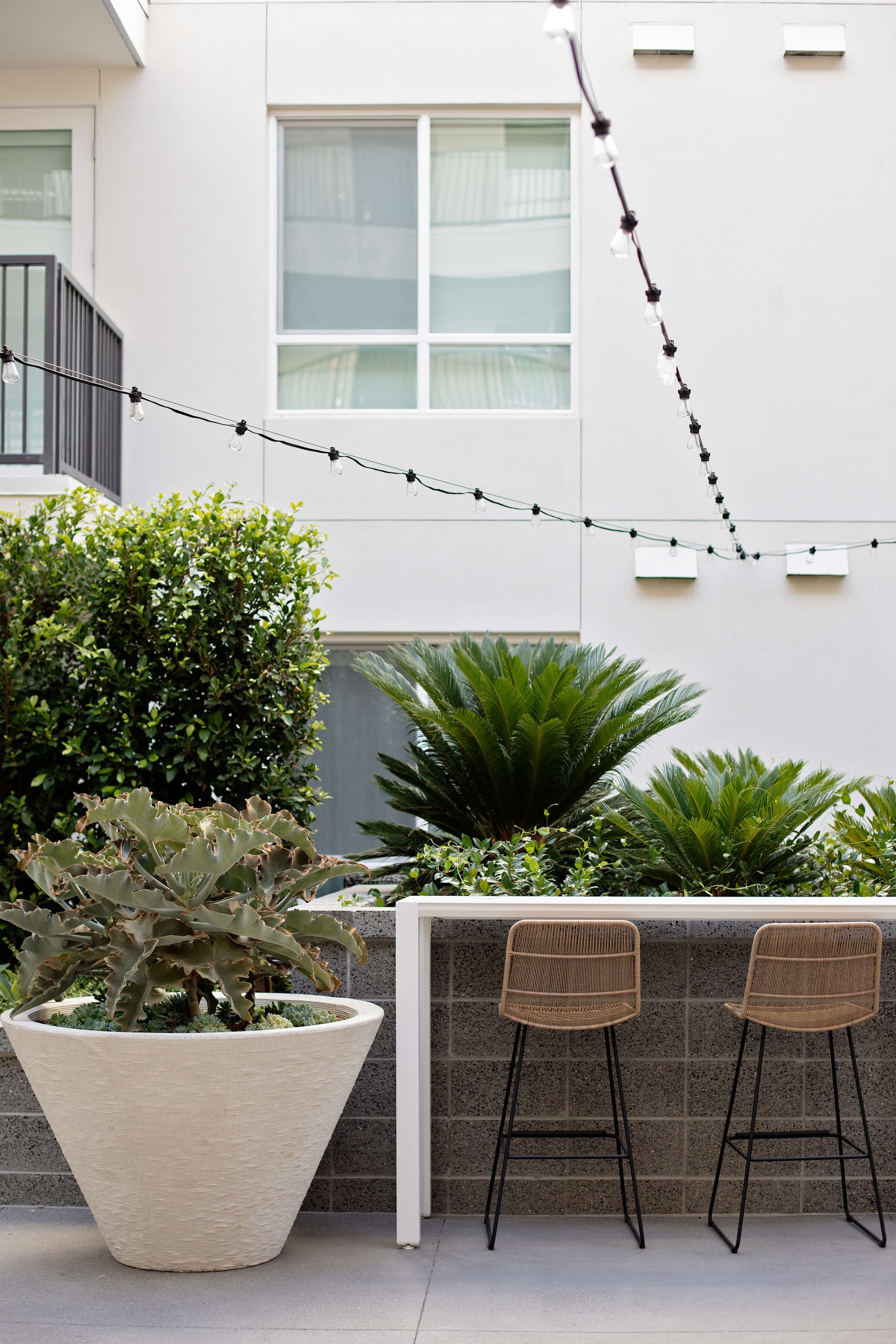 丨智利圣地亚哥-62