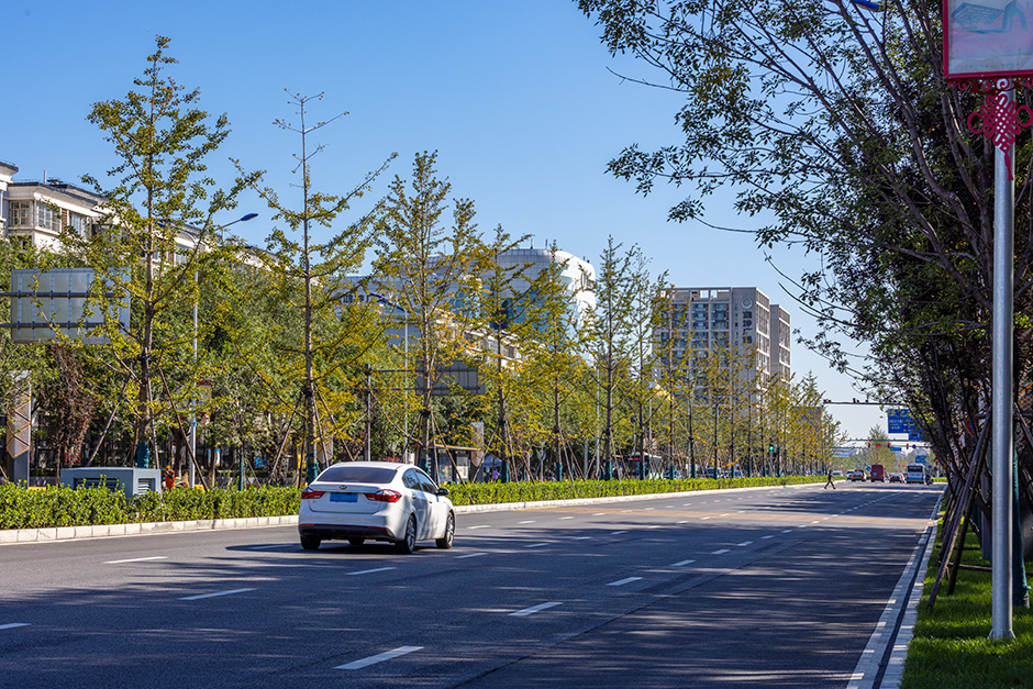 北京西红门创业大街丨L&A设计集团北京分公司城市公共空间一队等-38