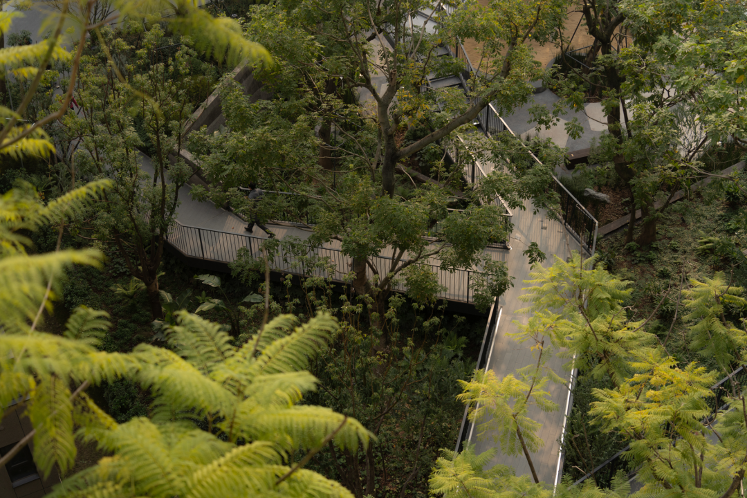 重庆麓悦江城碧影溪丨中国重庆丨WTD纬图设计等多家（含建筑,雕塑等设计方）-20