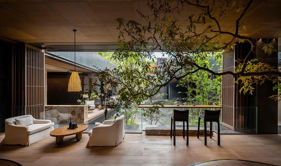 新作 自然之下的无界洄游丨紫香舸-53