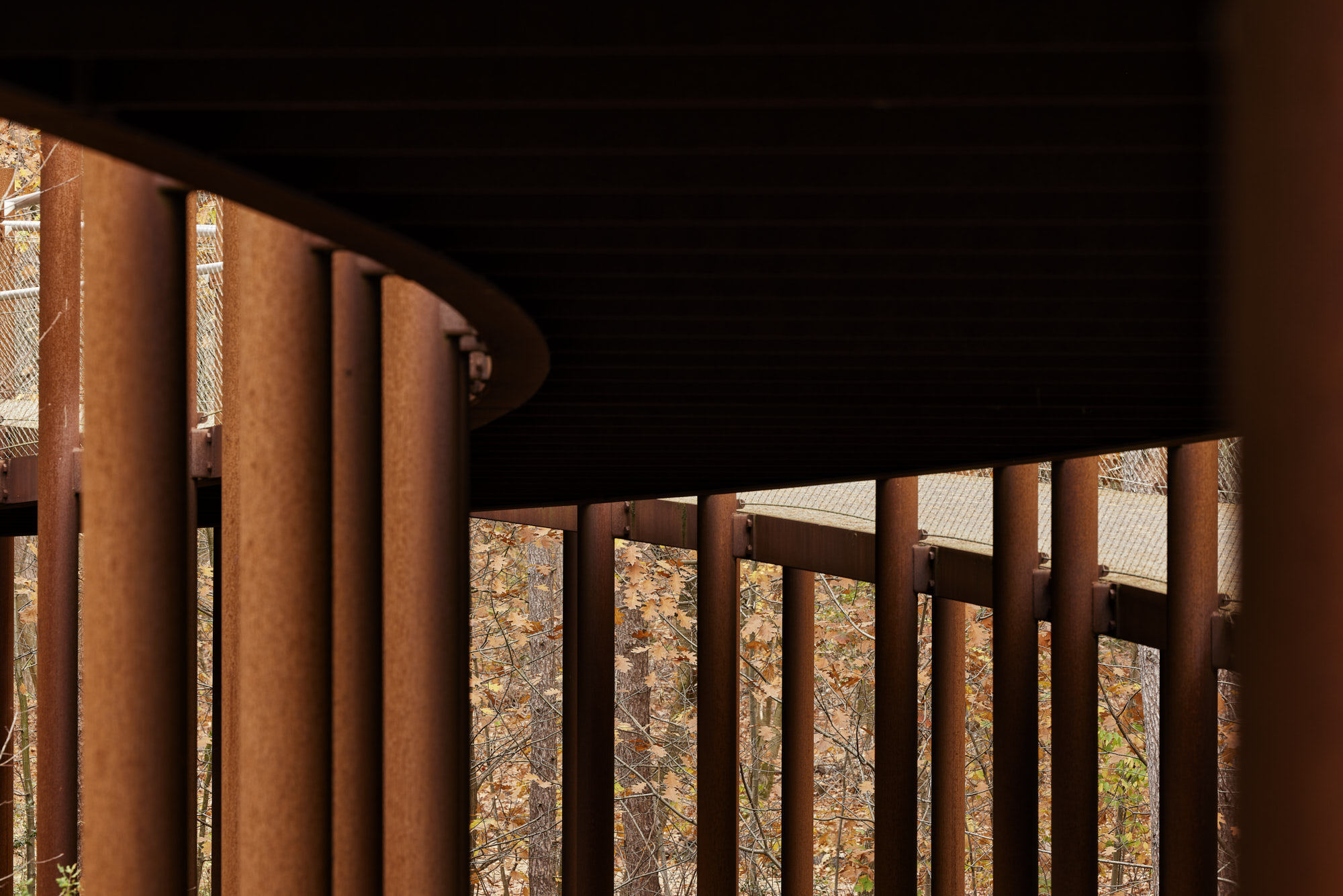 在树林中骑行丨Visit Limburg-17