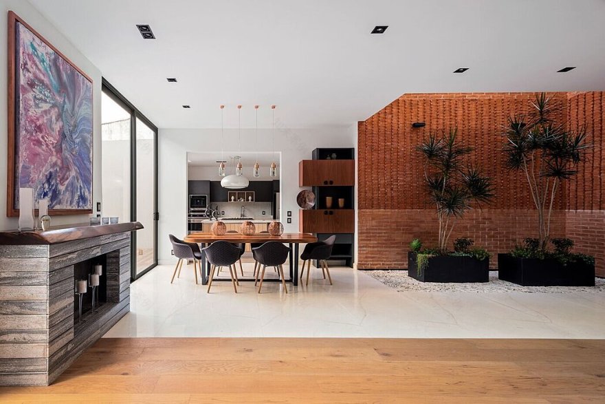 科查瓜宅邸丨墨西哥墨西哥城丨Natalia Menache-3