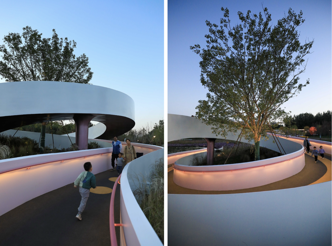 埊木设计｜花漾之境：北小河公园樱花谷环境改造提升设计-240