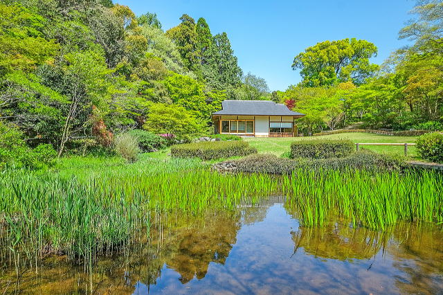 名古屋市东山动植物园之植物园丨日本爱知-30