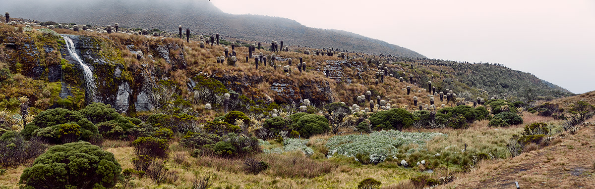 全景之美 · 捕捉世界的壮丽瞬间-7