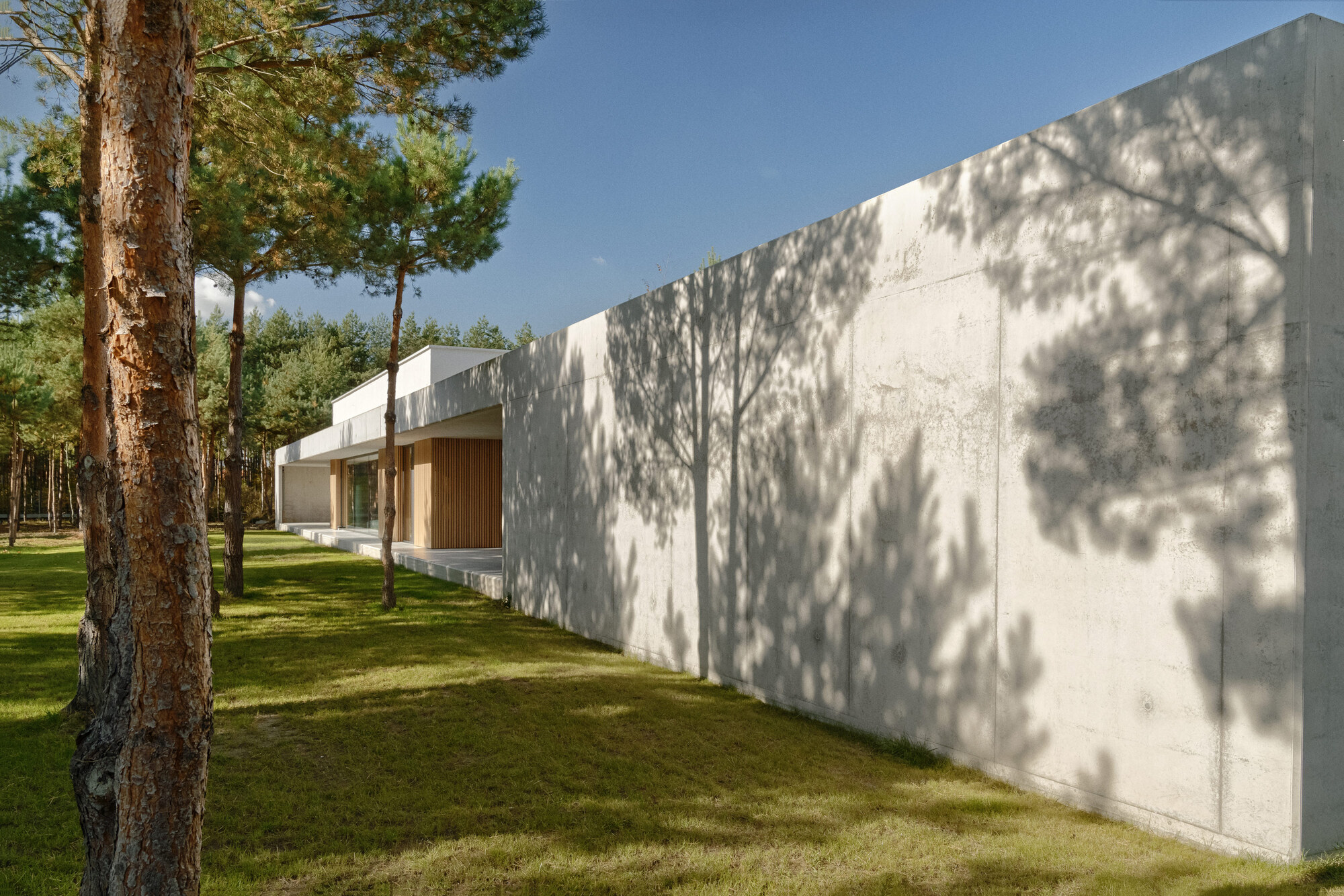 森林混凝土住宅丨波兰波兹南丨PL.Architekci-28