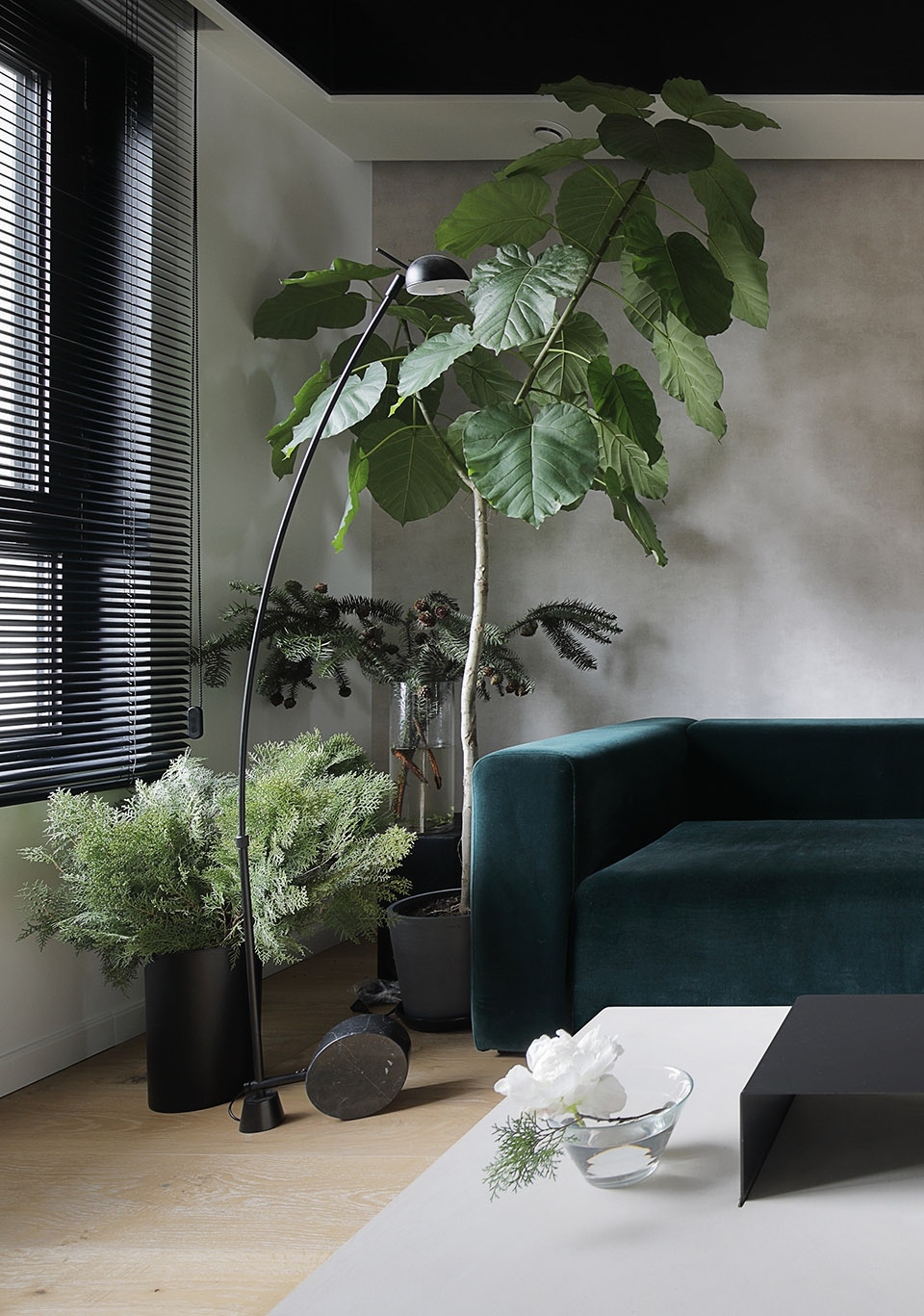 直线、消隐与猫咪乐园，北京 | 张冬月-51