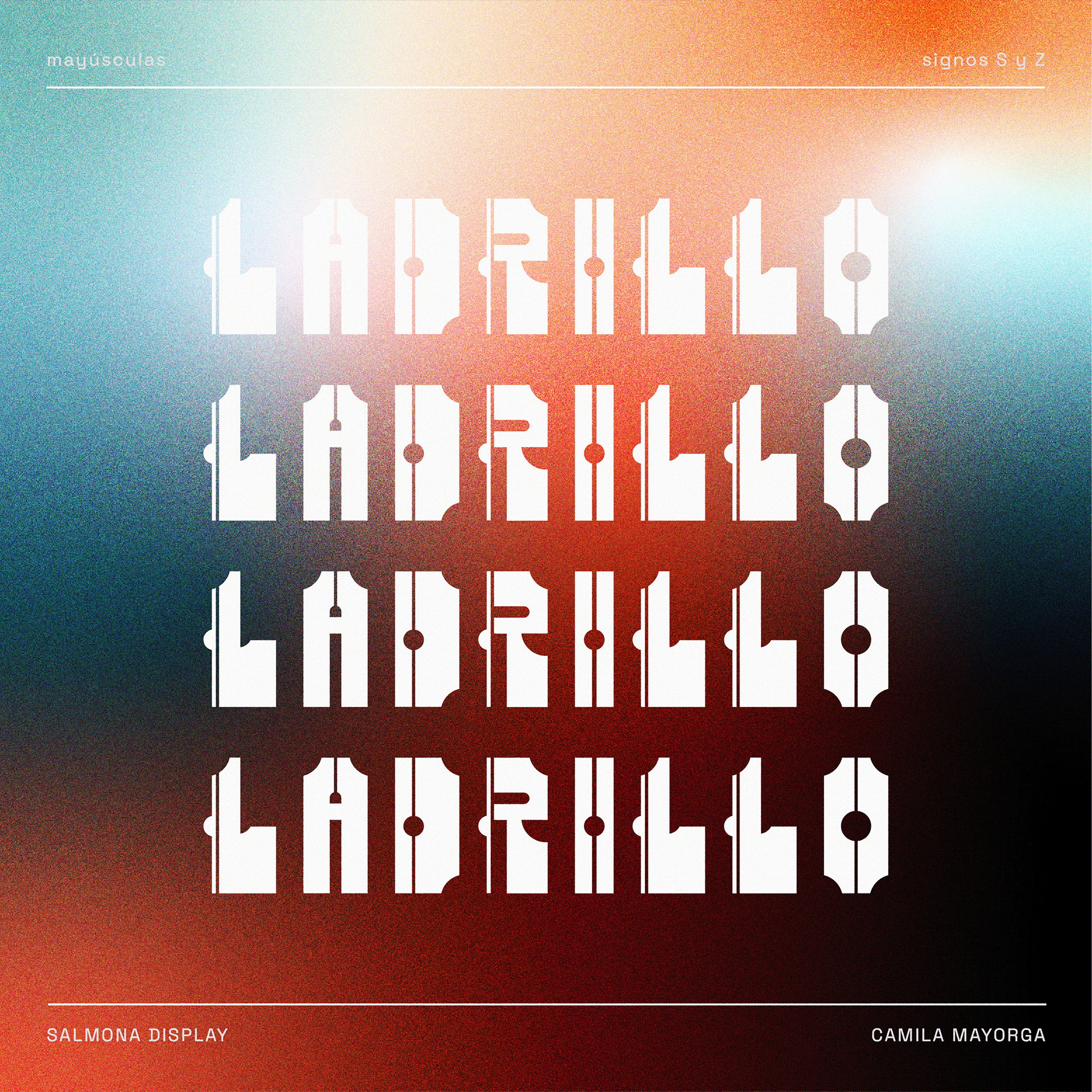 SALMONA DISPLAY - Tipografía y Movimiento-4