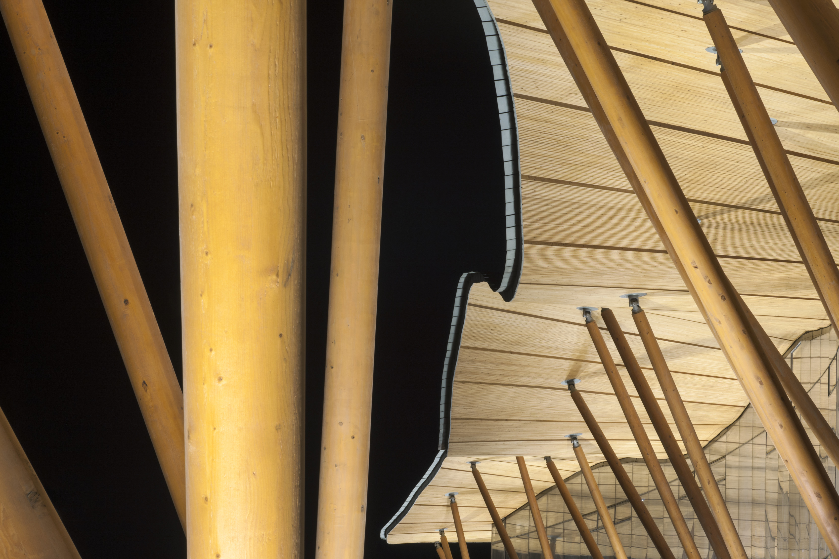 青岛珍珠山游客中心——现代建筑与传统元素的完美融合-33