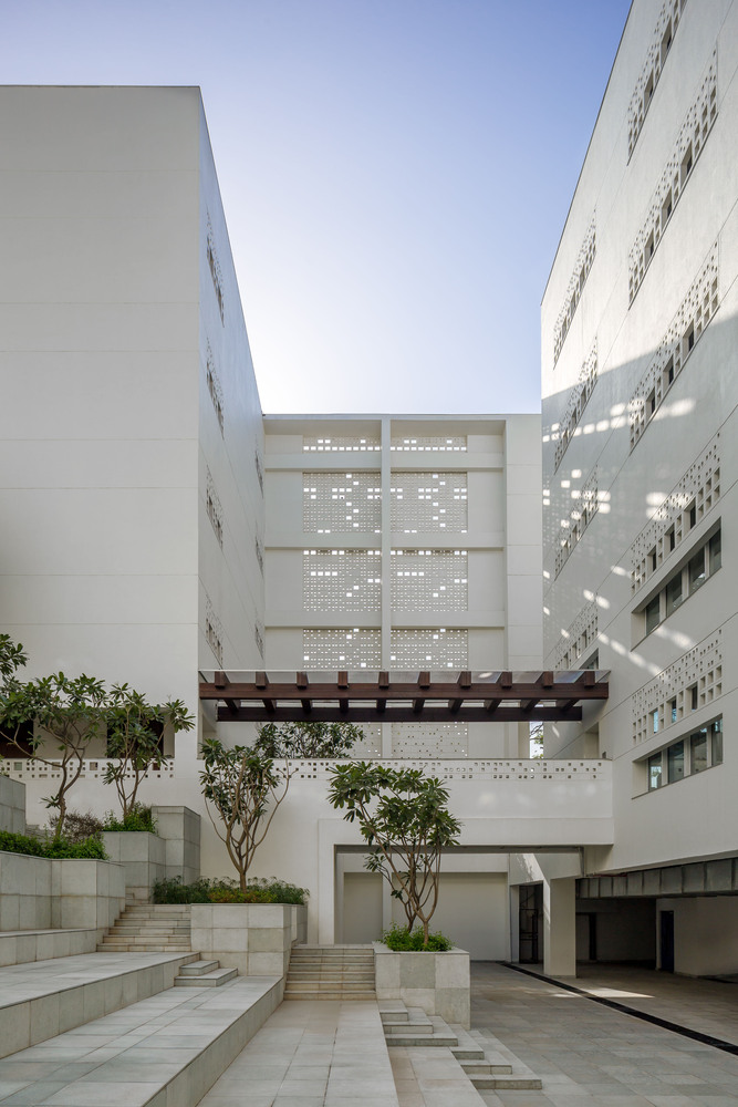 The British School  Morphogenesis-35