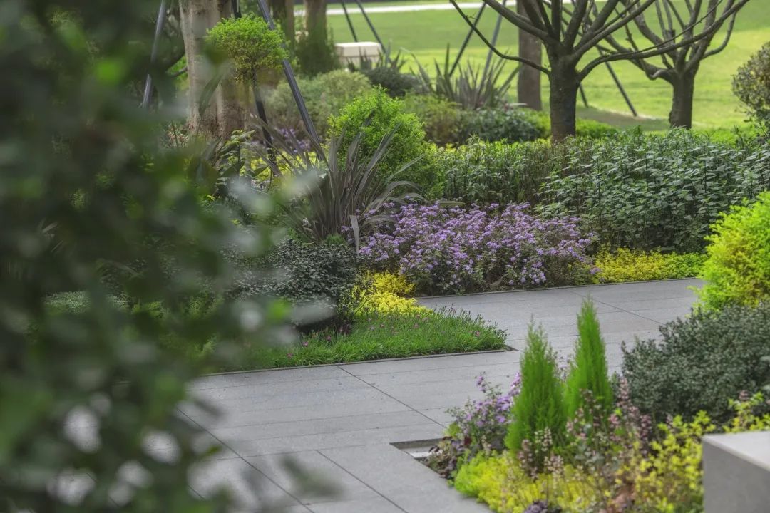 归心交付丨最美怡心春归处，人间难得壹号院-49