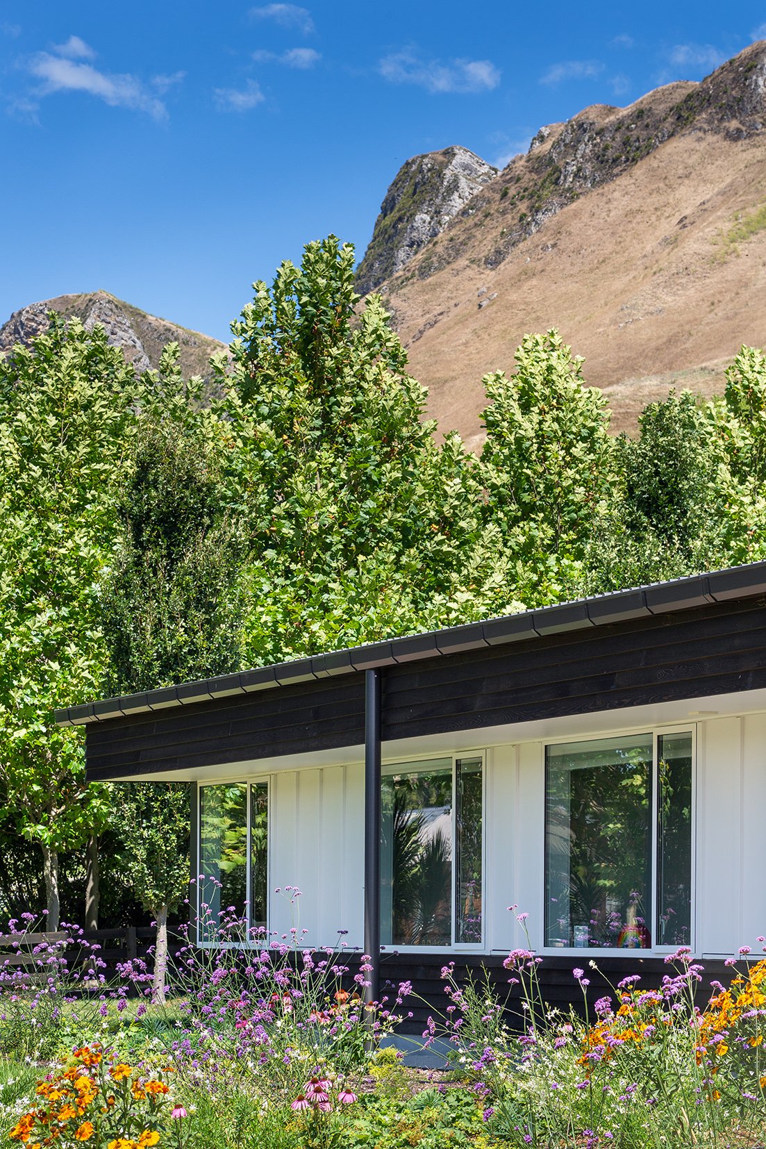 图基图基小屋（注：Tukituki可能是特定名称，若有更准确背景信息，可进一步精准翻译） 丨新西兰丨Parsonson Architects Ltd.-40