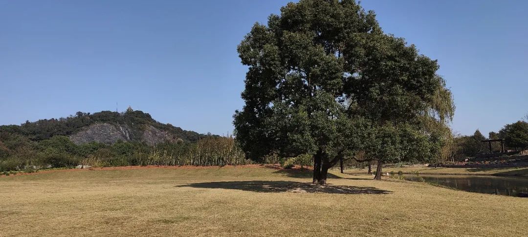 广富林遗址公园和辰山植物园考察丨中国上海丨亦境景观院-68