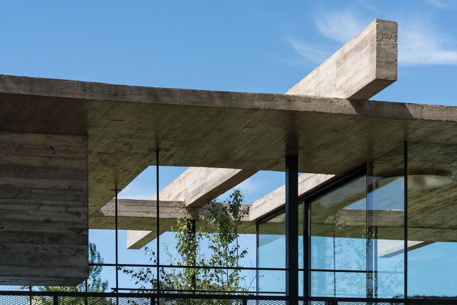 塞琳娜之家丨阿根廷马德普拉塔丨TAM Guillermo Elgart-23