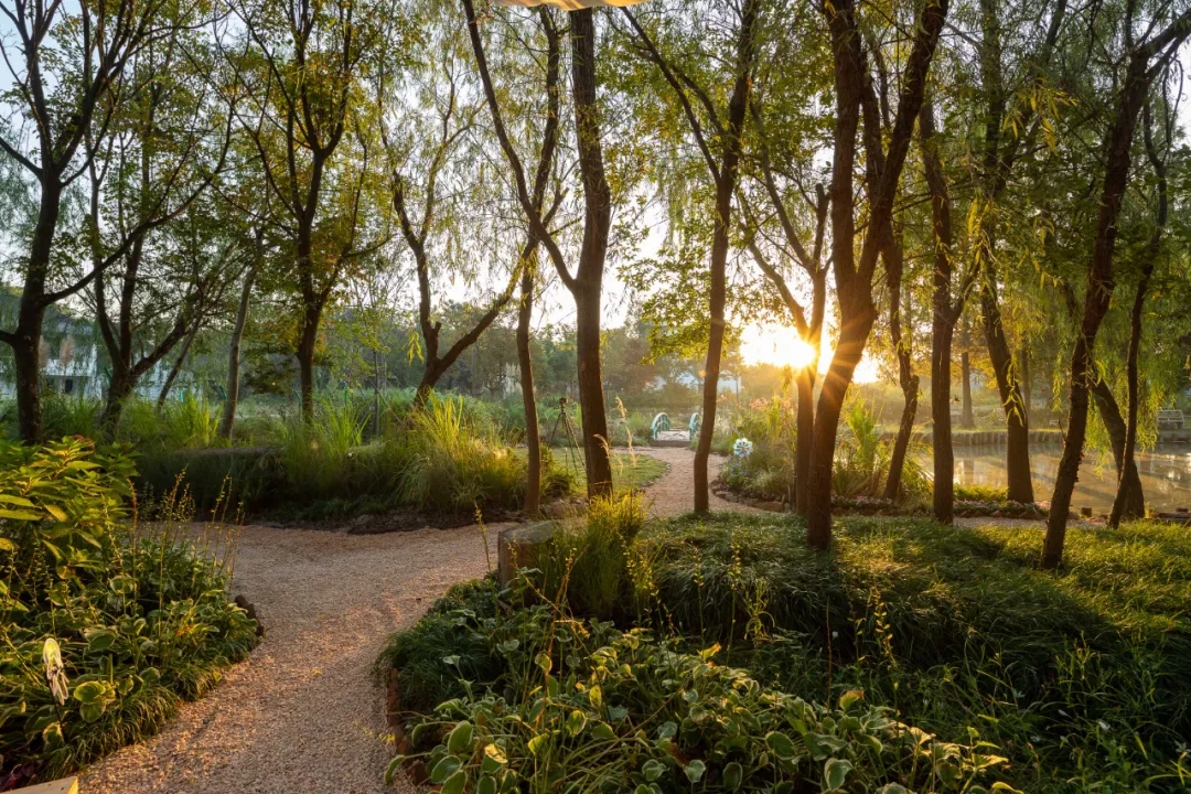 有MORE有YOUNG·新青年2021奥雅乡建营项目丨未明确提及具体设计团队-4