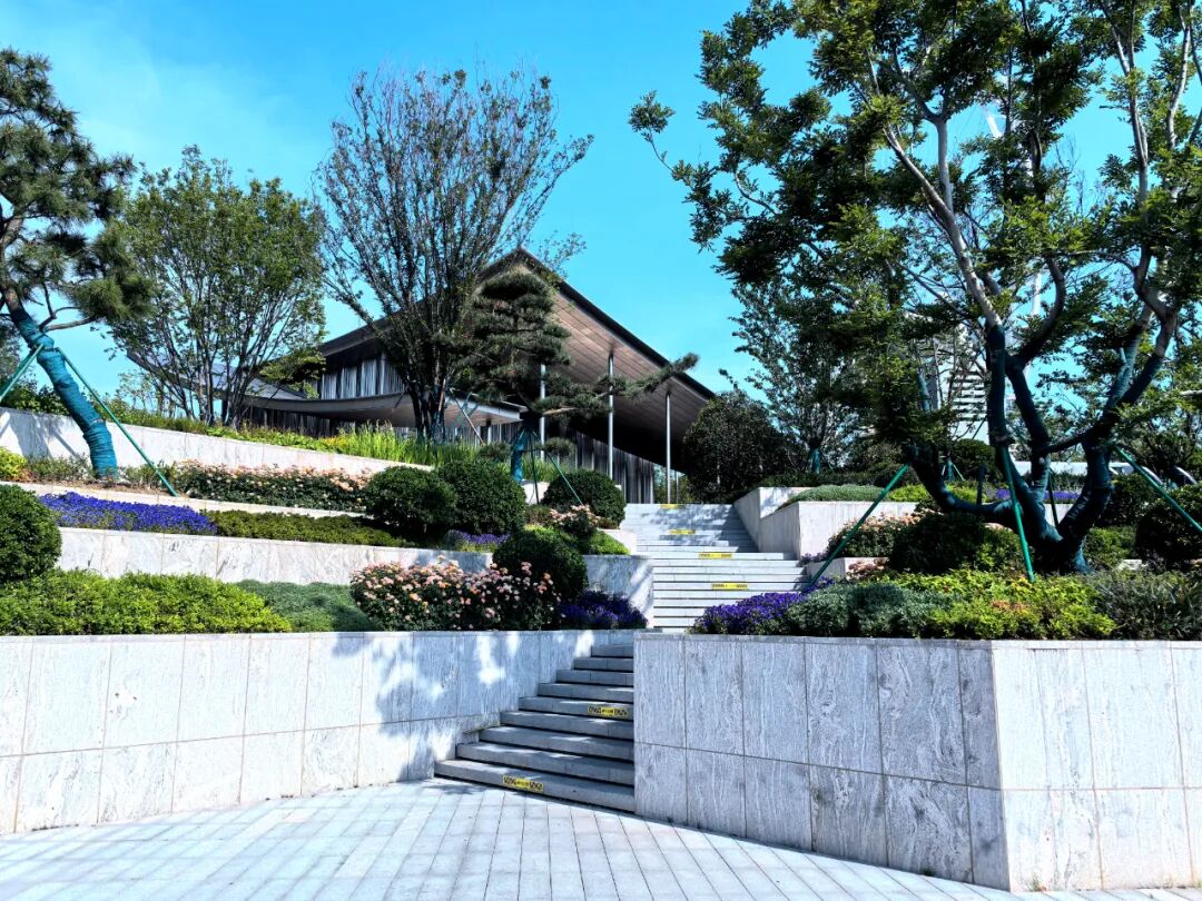 金鸡湖右岸城市客厅亮相！苏州新地标抢先看→-42