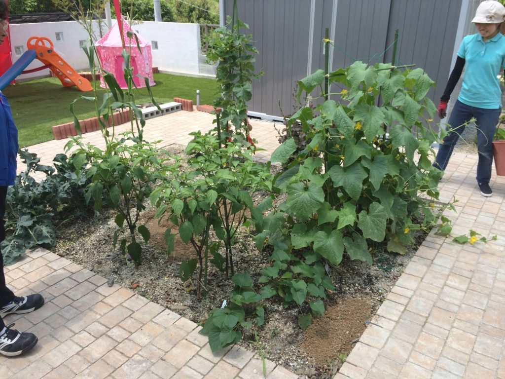 赤磐市M様邸外構及庭园设计项目-41