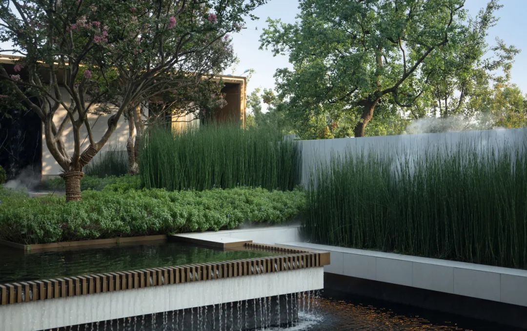 和熙碧影迎明月 | 绿城·沁香园-59