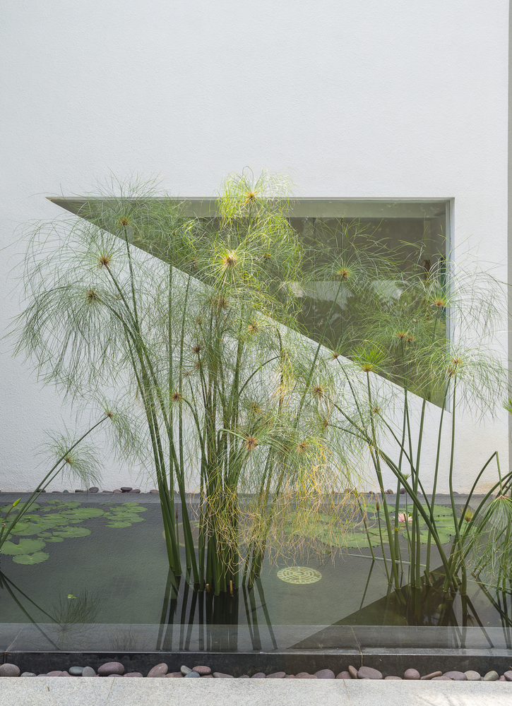 印度班加罗尔庭院住宅的和谐共生-37