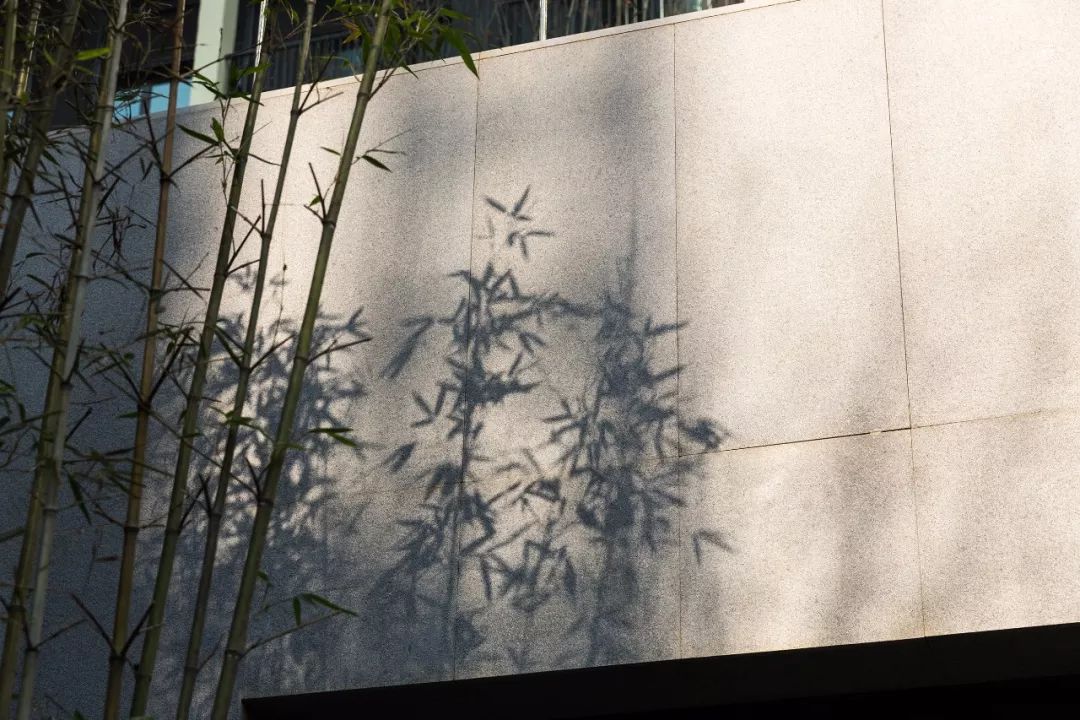 柏舍設計 | 新樂府售樓部 & 會所-10