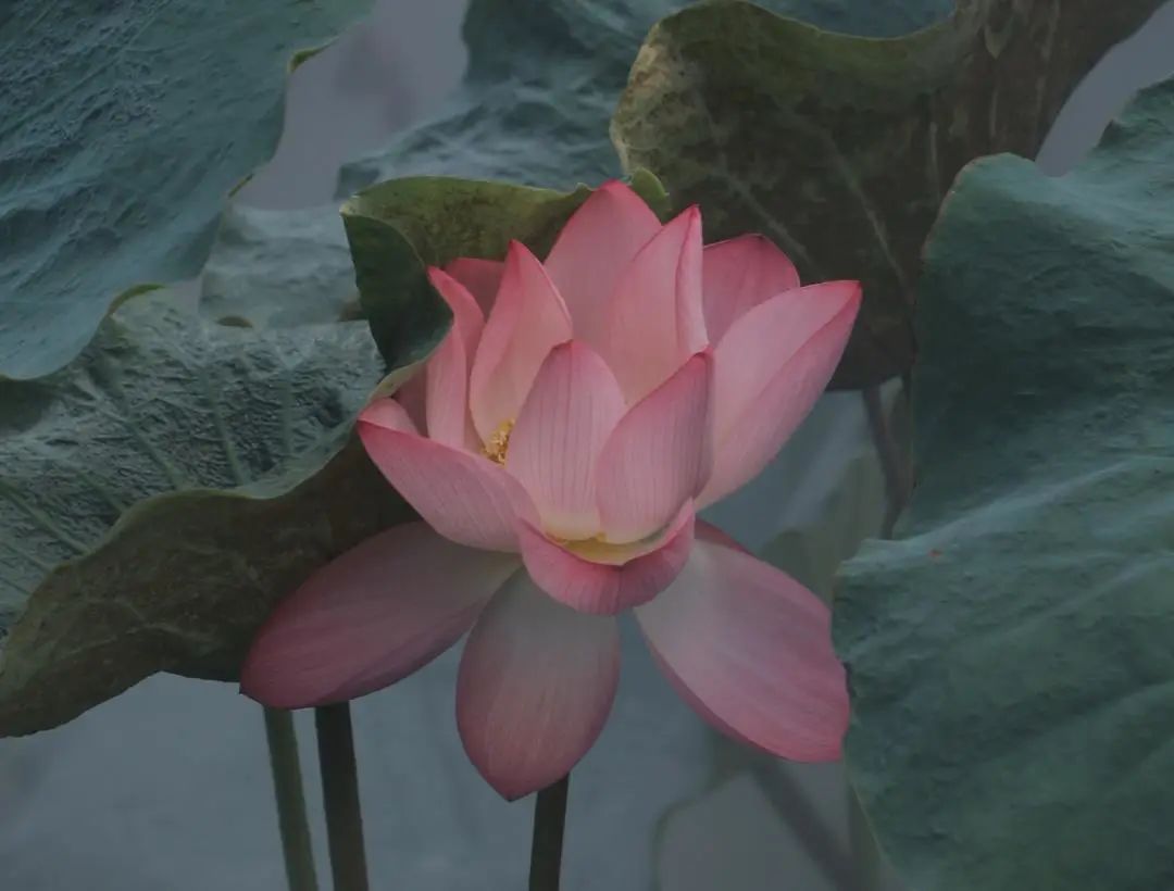 浮生遇到你茶香舍丨中国杭州丨泛域设计Fununit Design-68