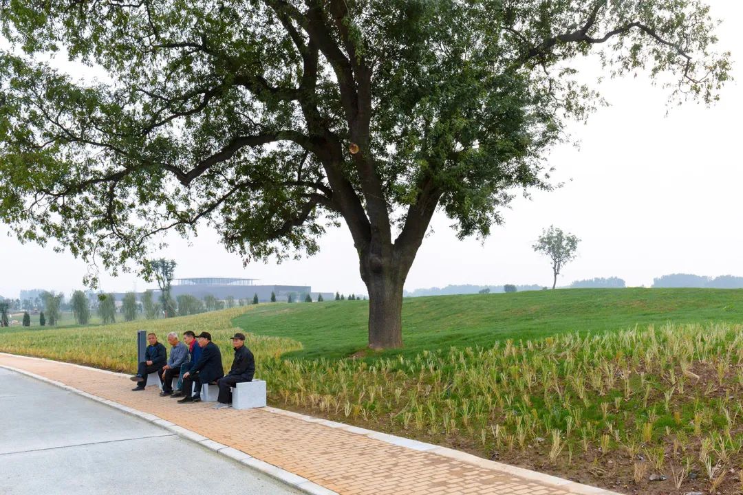 二里头夏都遗址博物馆丨中国洛阳丨同济大学建筑设计研究院若本建筑工作室-160