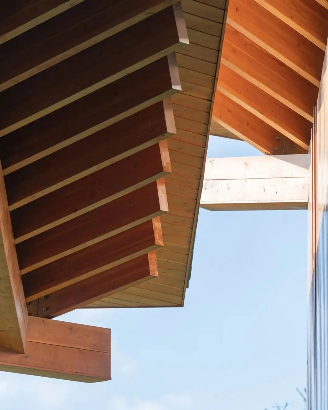 富阳·阳陂湖湿地公园南接待中心丨中国杭州丨尌林建筑设计事务所-156