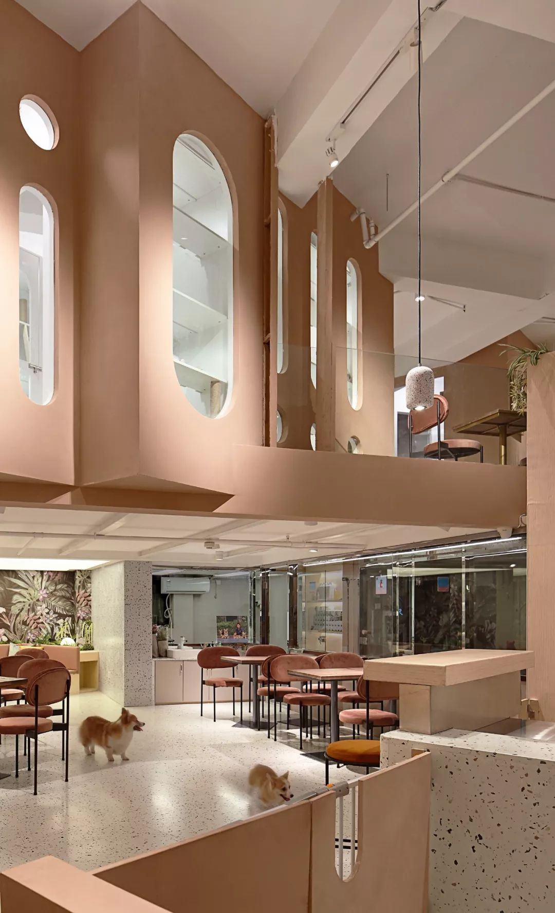 柯基互动体验馆，传递爱与关怀的小世界-19