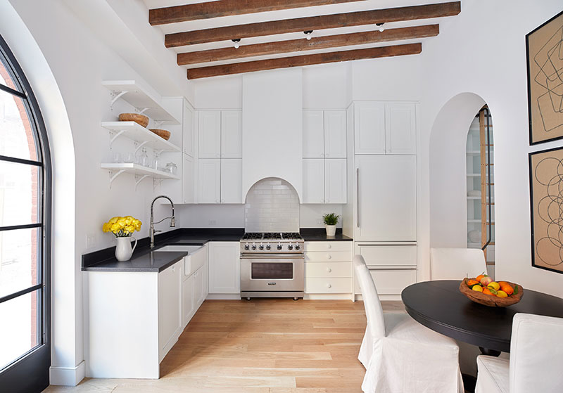 纽约兽医诊所变明亮现代家园-5