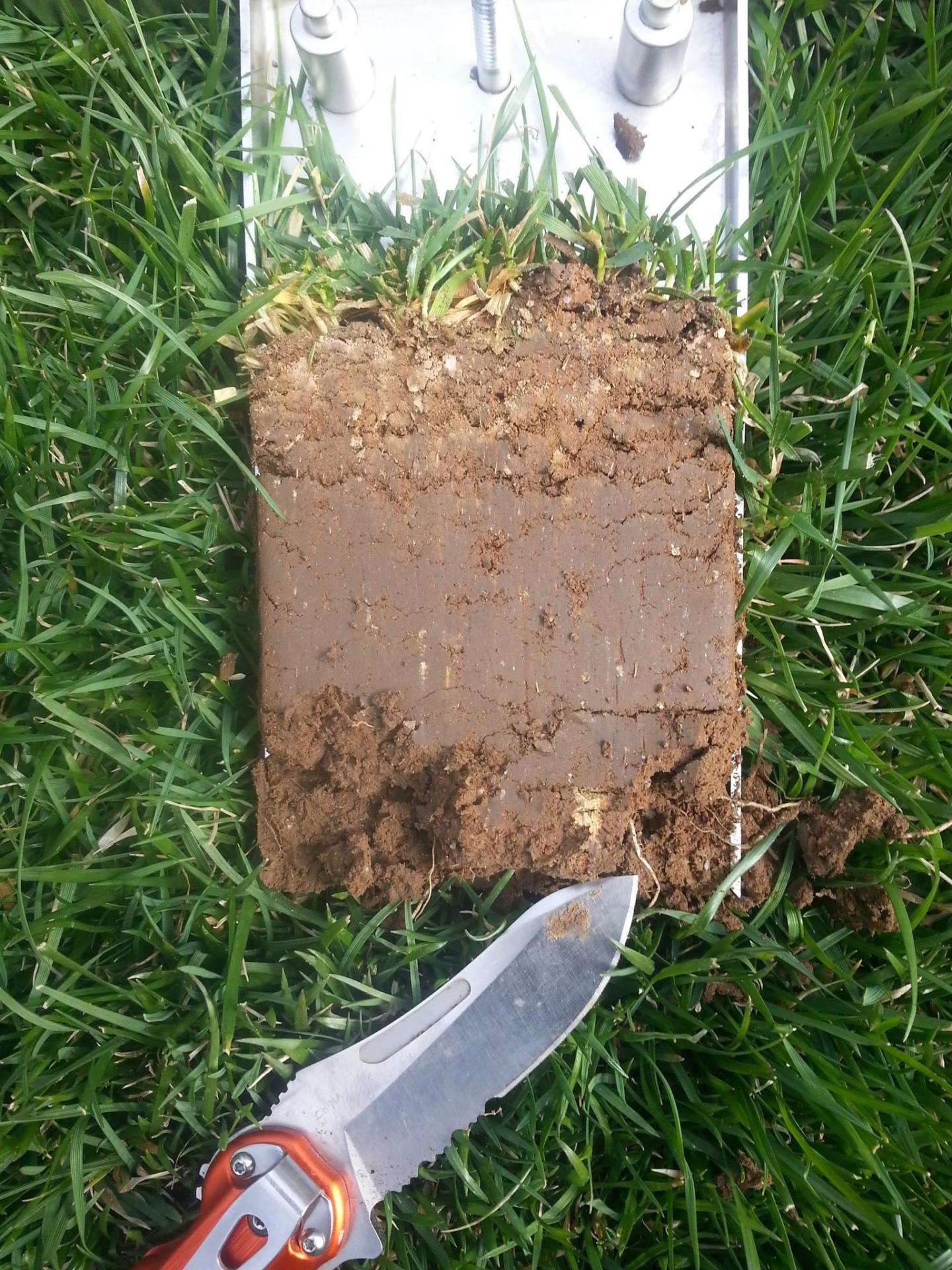 丨美国宾夕法尼亚丨Chanticleer staff and consultants-4