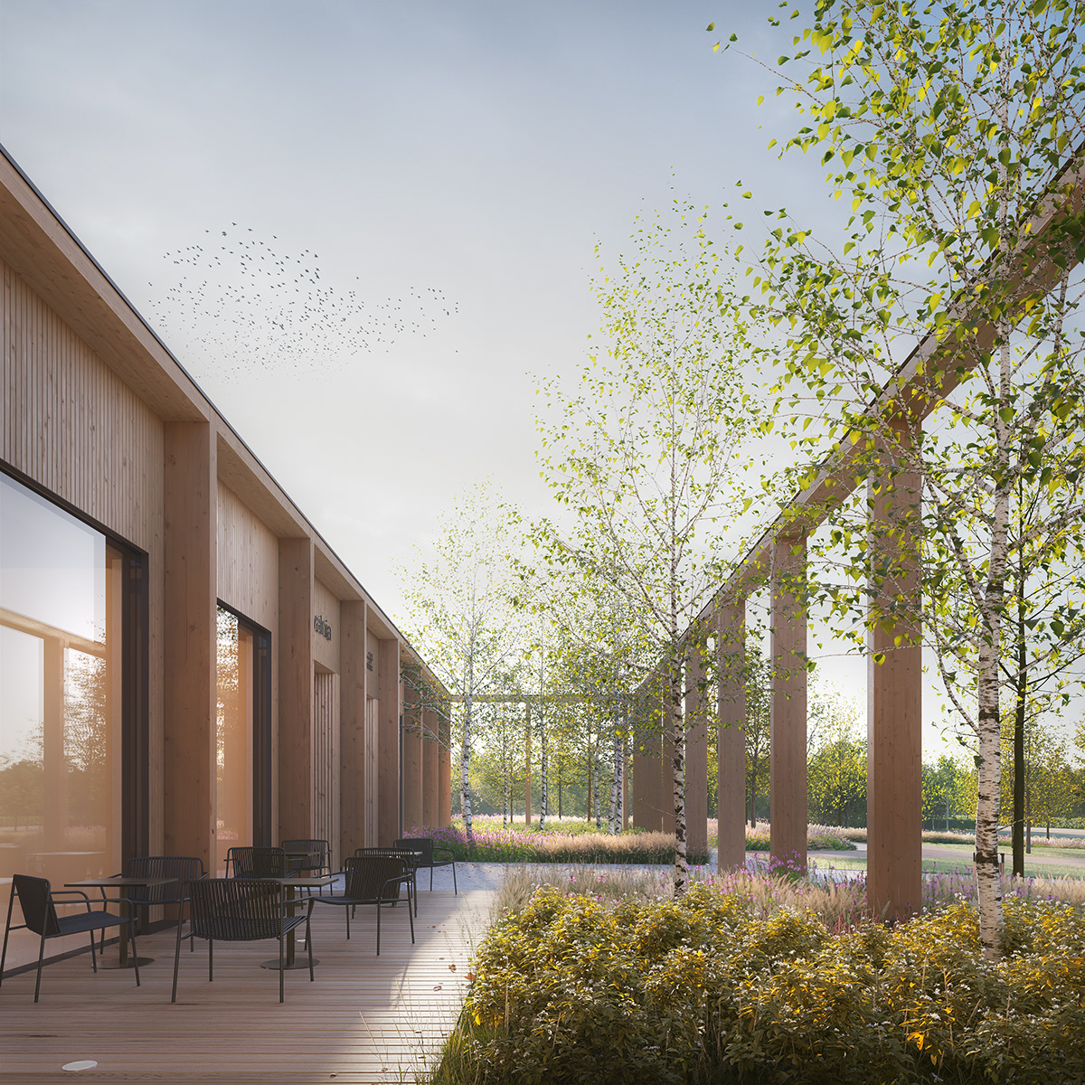 皮亚塞奇诺游泳池综合体丨波兰丨p2pa-3