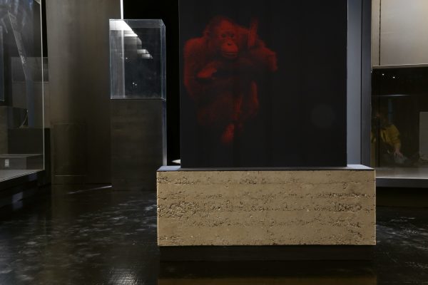 奥尔良生物多样性与环境博物馆生土展示台项目丨法国奥尔良-44