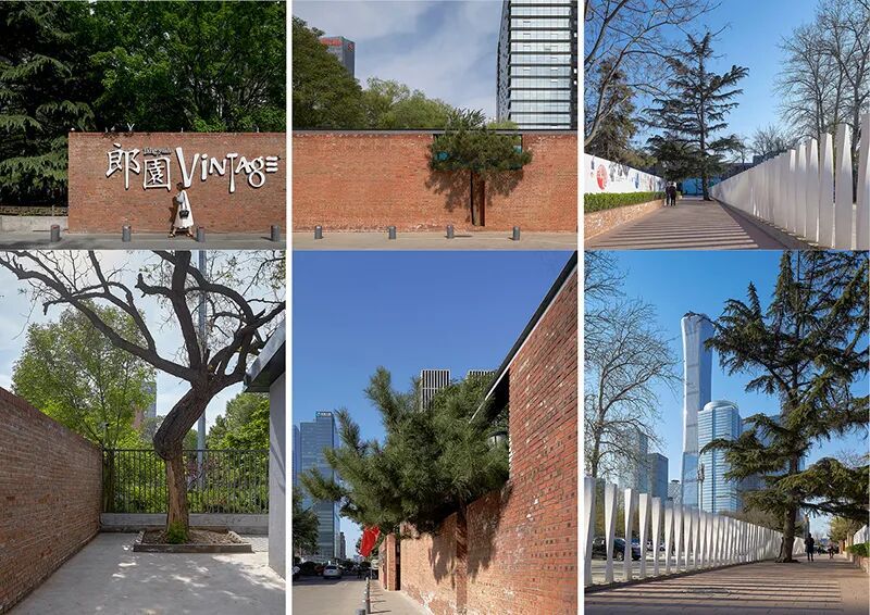 九树三花——郎园vintage环境提升-93