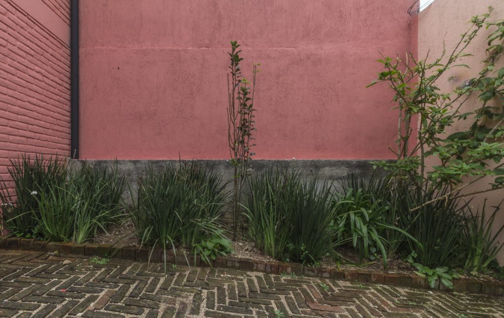 墨西哥森林中的生态别墅-28