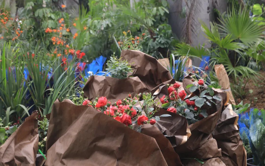 仲夏夜之梦 · 莎士比亚灵感的花园设计丨中国深圳丨Sarah Eberle(英国)-27