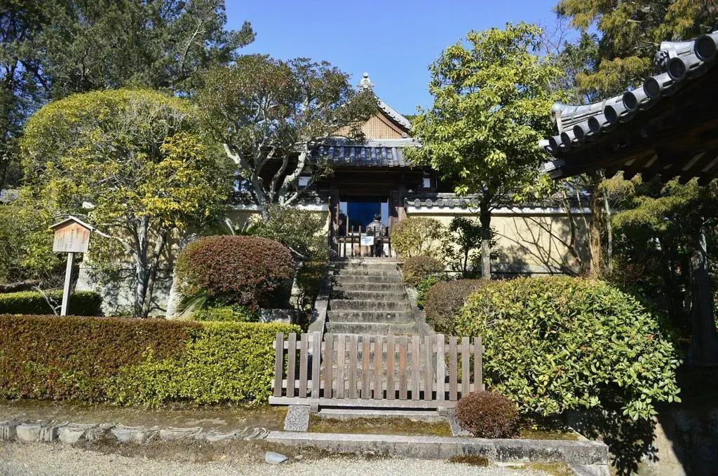 唐招提寺丨日本丨鉴真师徒-8