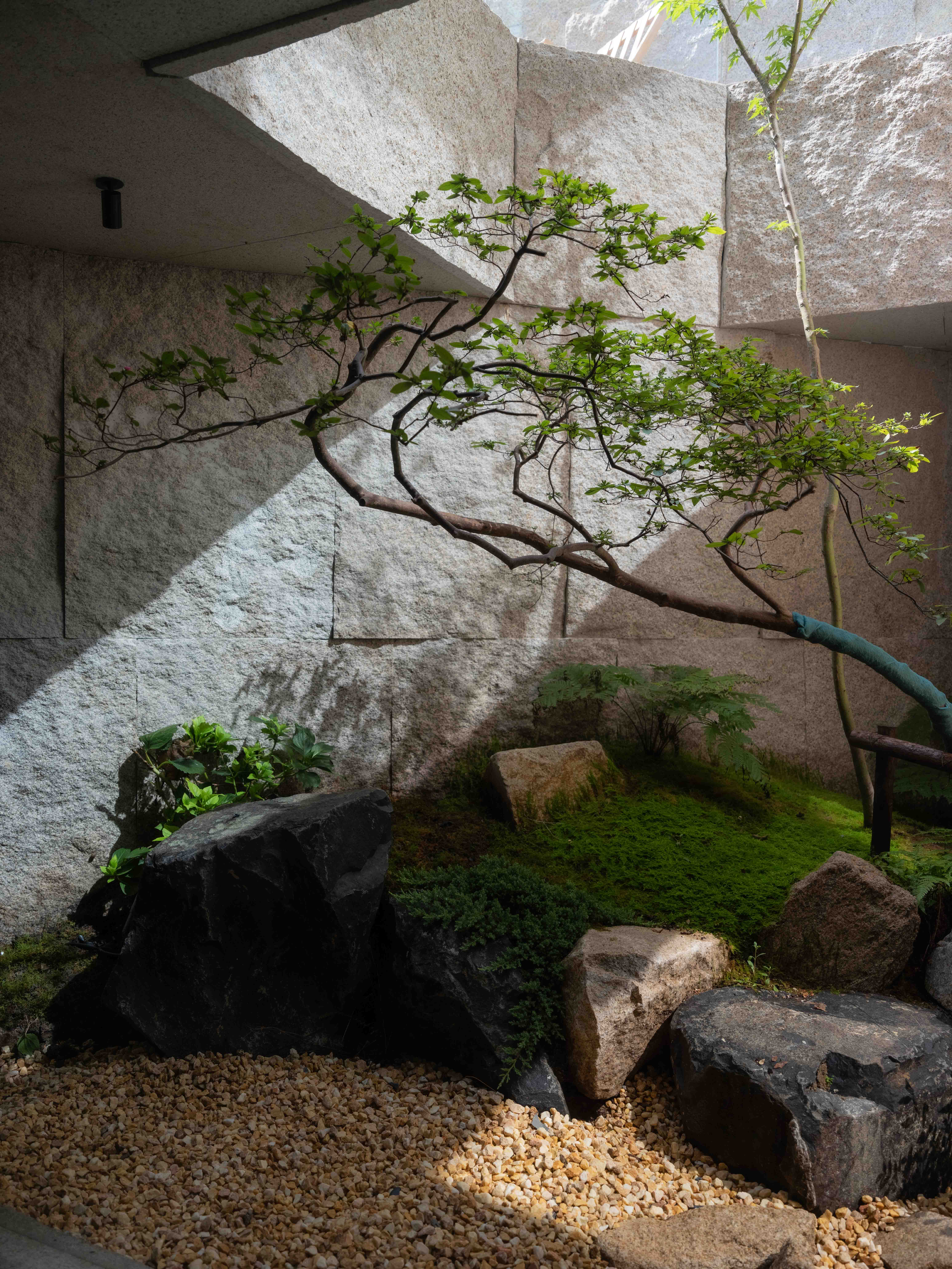 溪山院别墅庭院景观丨中国浙江丨精也园社(南京)设计有限公司+南京金石景观设计-24