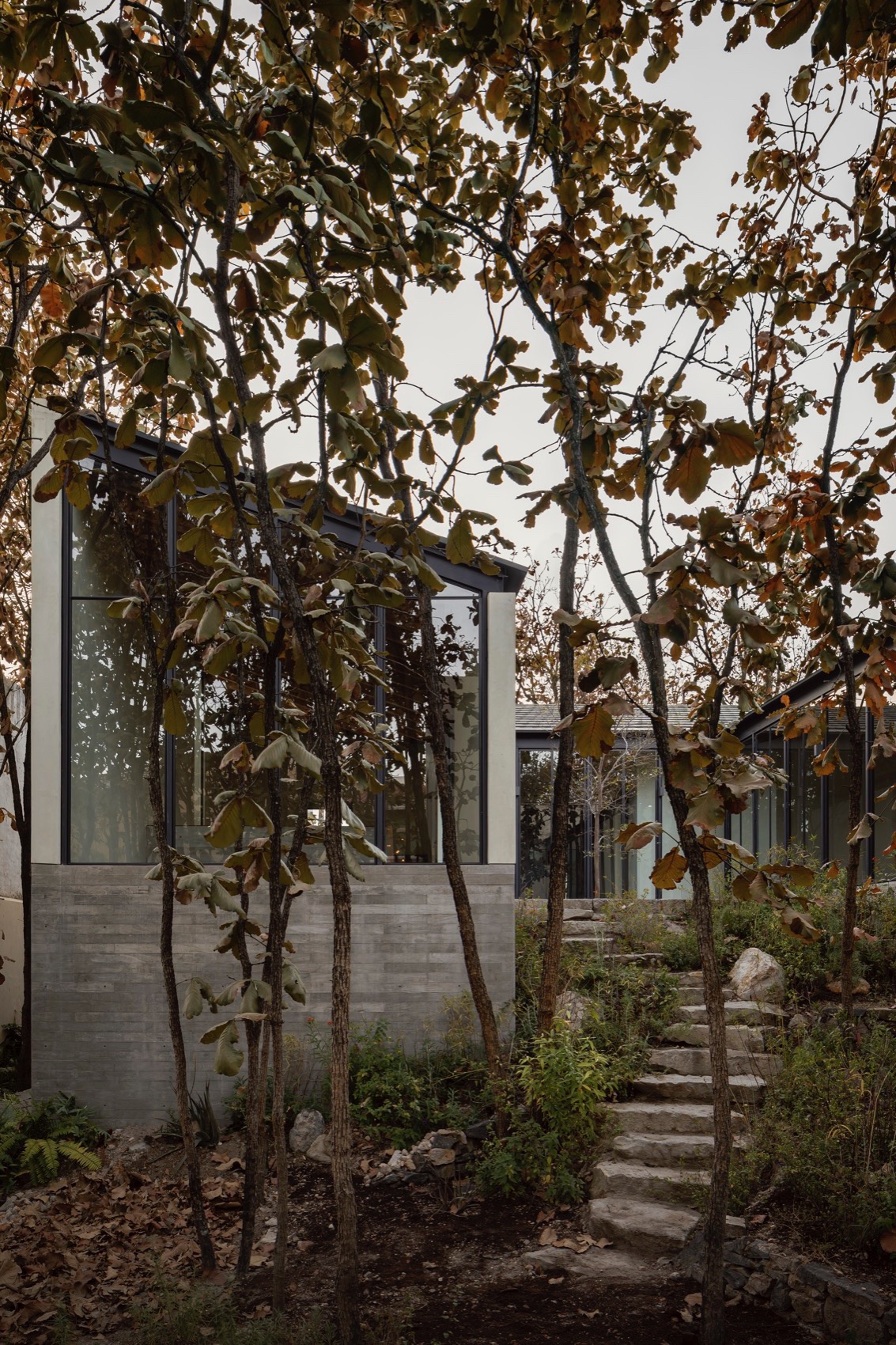 Caribu 住宅丨墨西哥丨Taller Tequio-8