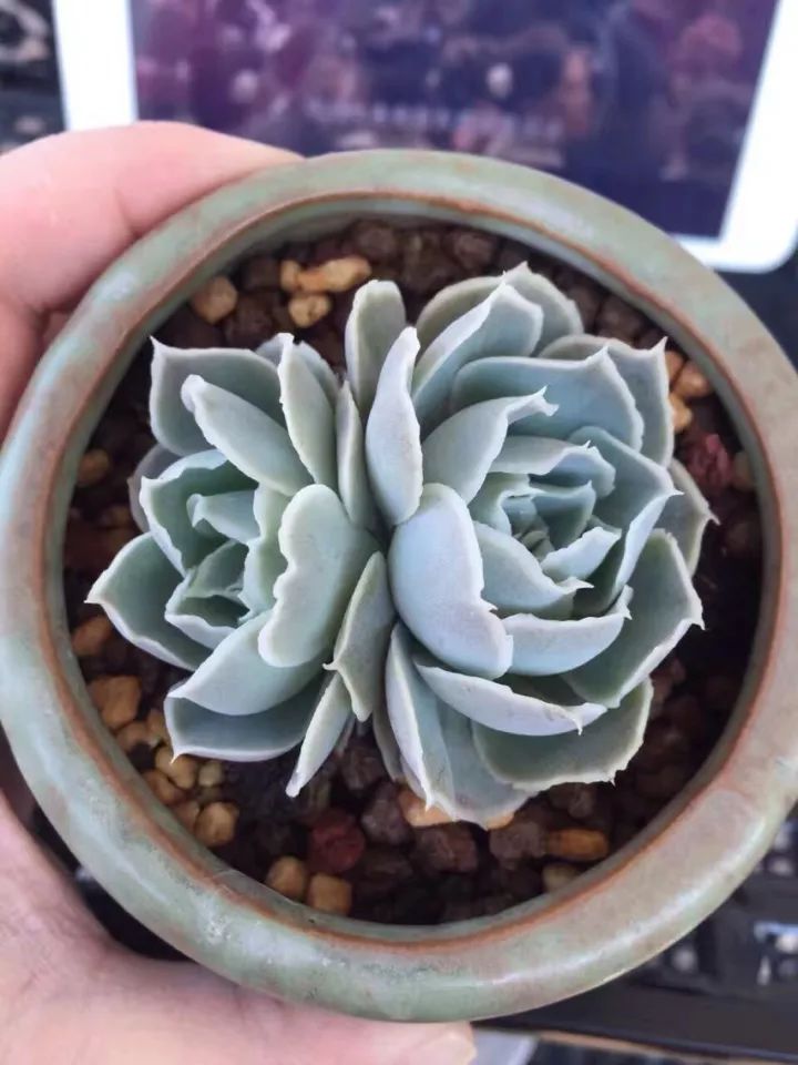 牡丹里 90㎡美式风格装修丨尚居装饰-12