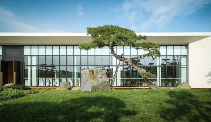 山海关金禧展示区 | 古松奇石,绘就历史画卷-28