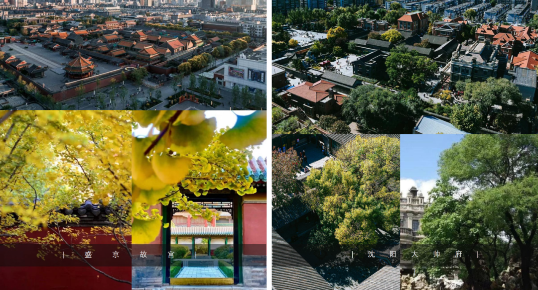 礼序东方 盛京游园 | 沈阳万科·胤樾-10