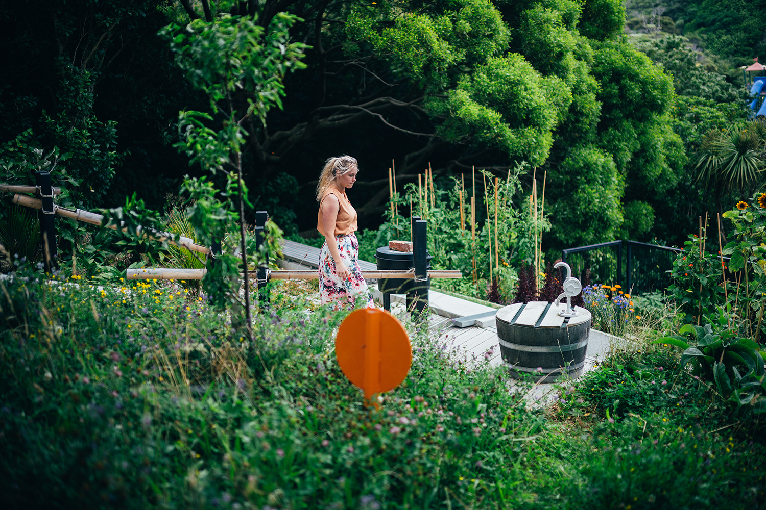 惠灵顿植物园的探索花园——儿童与自然的亲密接触-7