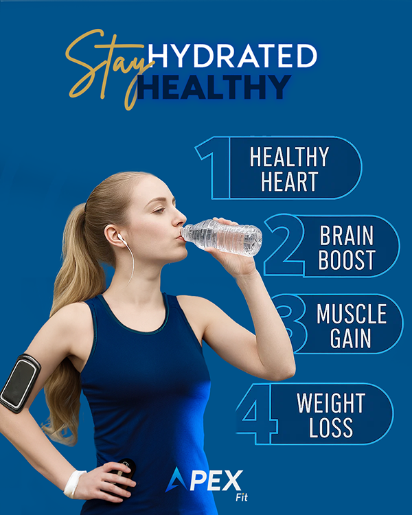 Ems apex fit social media designs-3