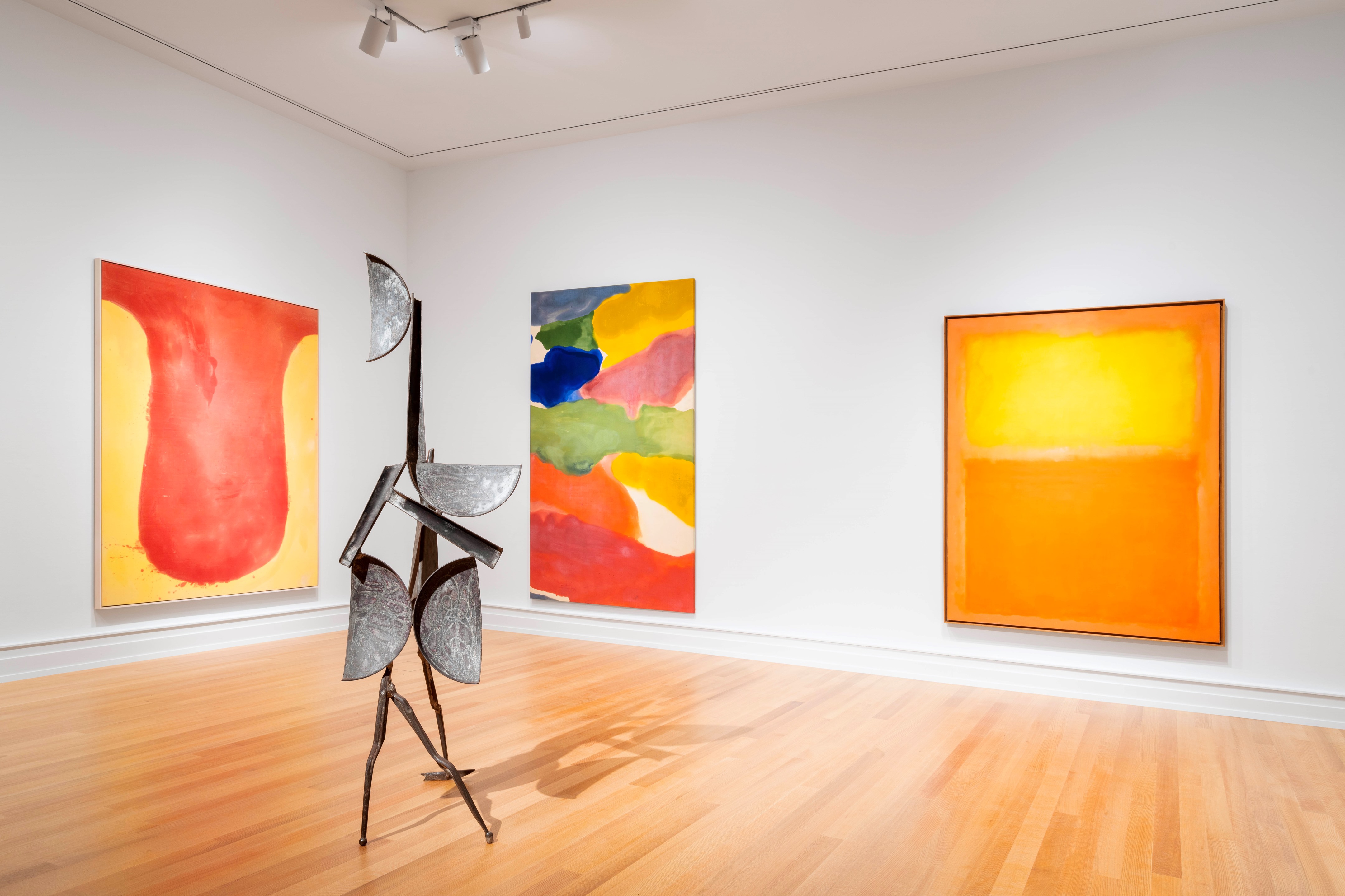 布法罗 AKG 艺术博物馆丨美国布法罗丨OMA-48