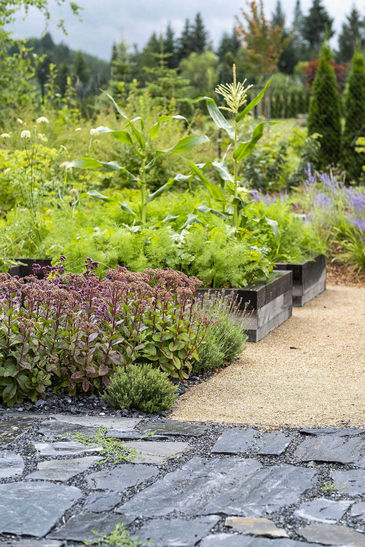 卡米克水库旁家庭住宅花园设计丨捷克-14