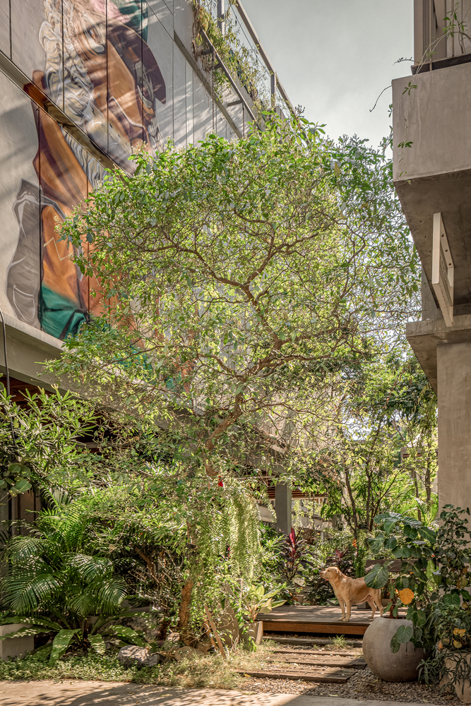 泰国曼谷塔姆尼旅舍丨POD Architects-35