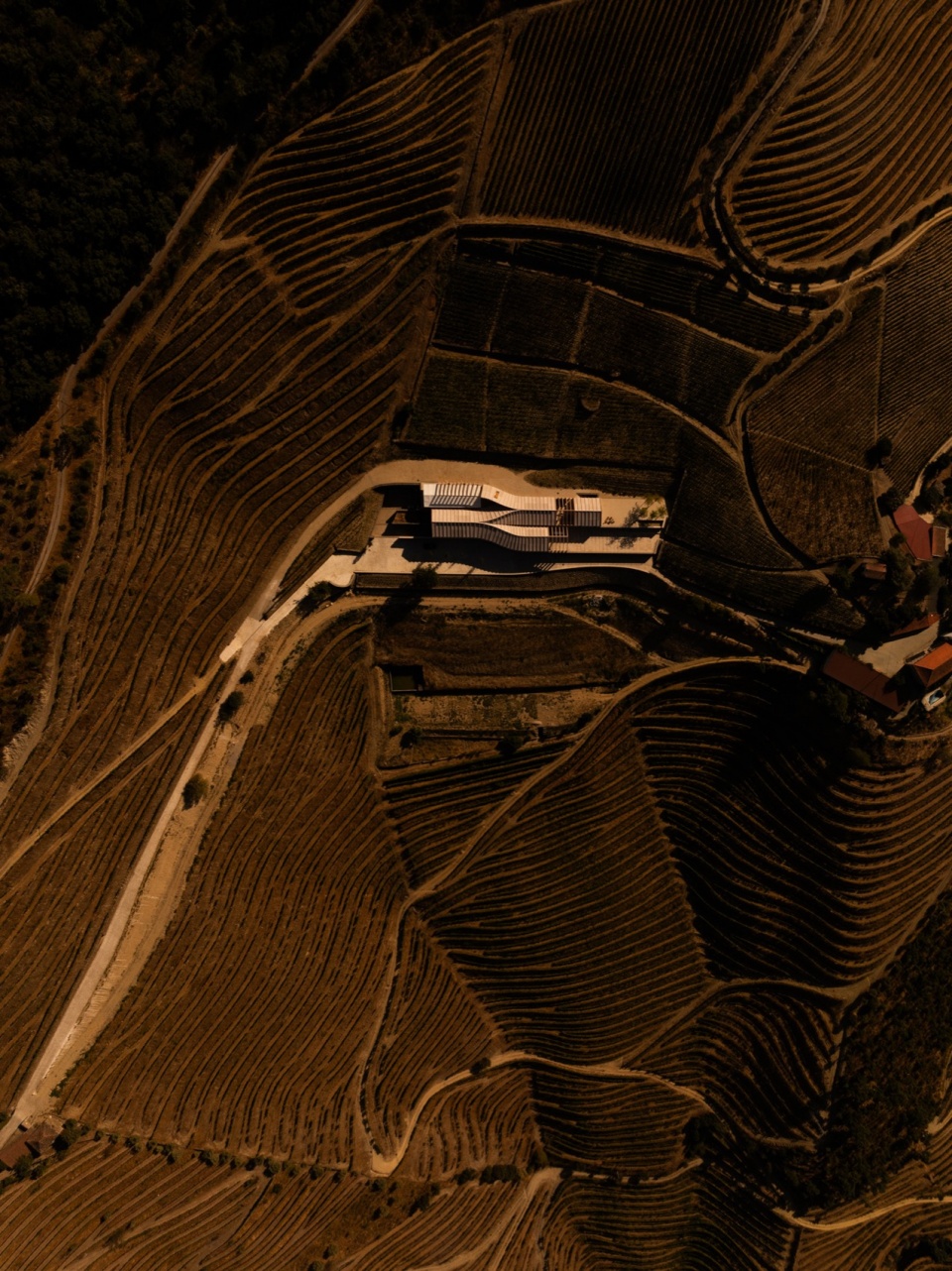 葡萄牙Quinta de Adorigo酒庄丨葡萄牙杜罗丨Atelier Sergio Rebelo-9