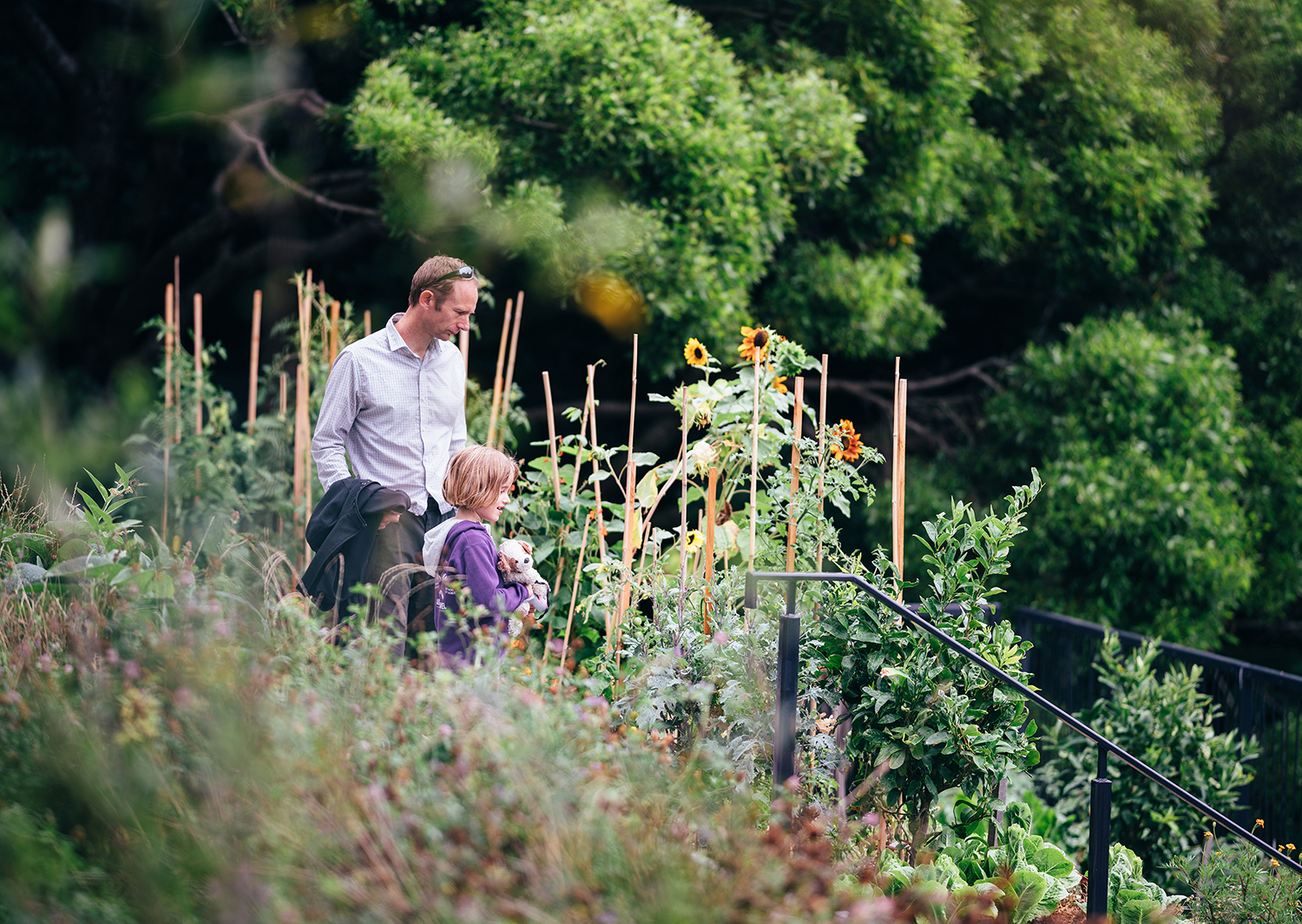 惠灵顿植物园的探索花园——儿童与自然的亲密接触-8